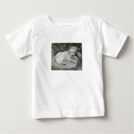 Dog Resting On A Rock Baby T-shirt