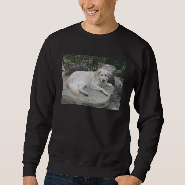 Dog Resting On A Rock Sweatshirt (Vorderseite)