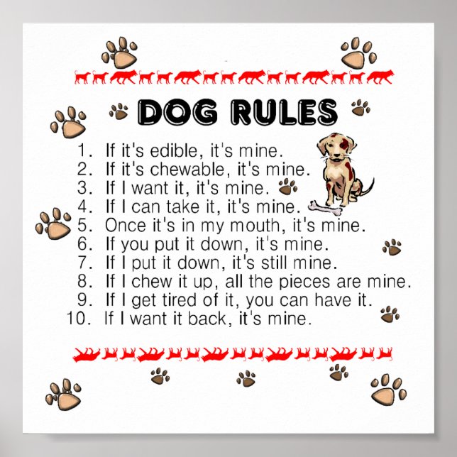 Dog Rules Poster (Vorne)