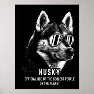 Dog   Siberian Husky Official Dog Of Coolest Poster