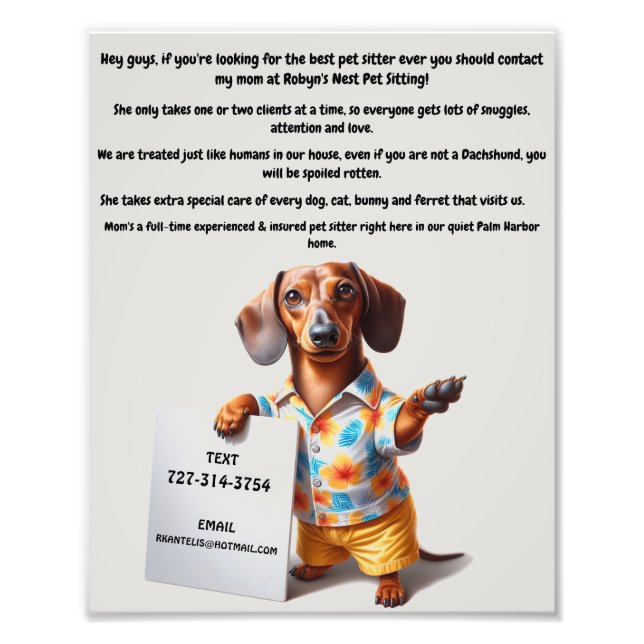 Dog Sitter Poster (Vorne)