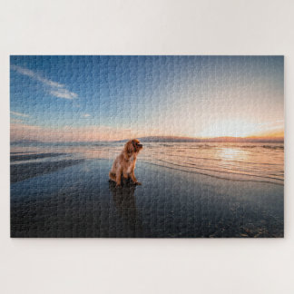 Dog sitting on the beach  puzzle