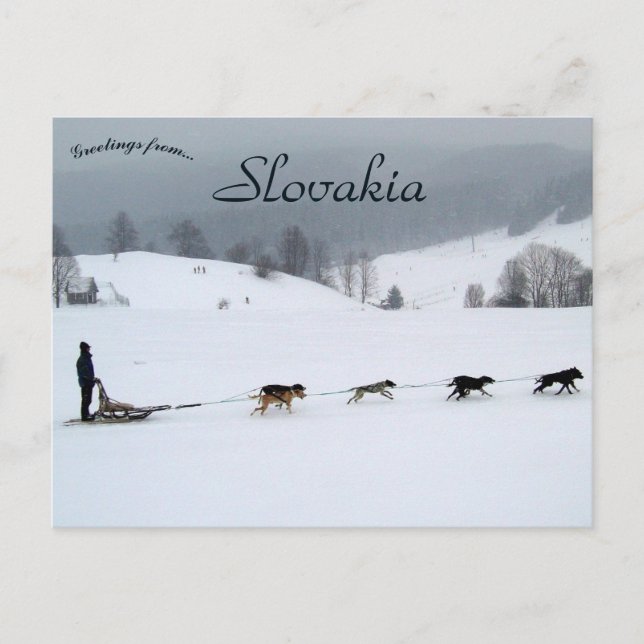 Dog Sled Team in Winter in Slovakia Postkarte (Vorderseite)
