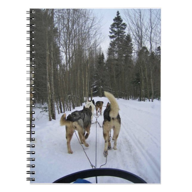 Dog Sledding in Quebec, Kanada Notizblock (Vorderseite)