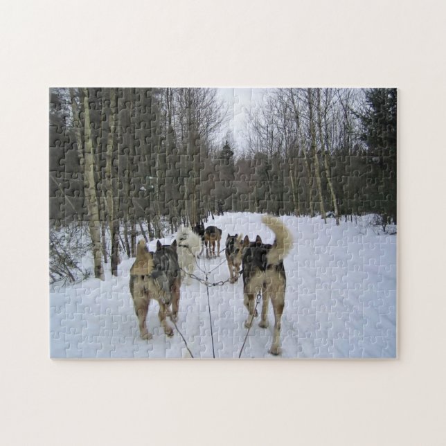 Dog Sledding in Quebec, Kanada Puzzle (Horizontal)