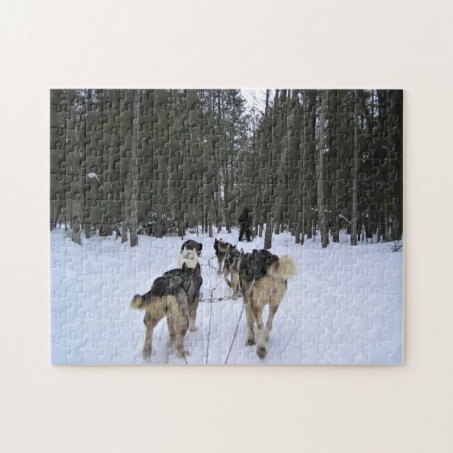Dog Sledding in Quebec, Kanada Puzzle (Horizontal)