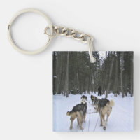 Dog Sledding in Quebec, Kanada