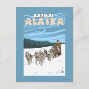 Dog Sledding Scene - Katmai, Alaska Postkarte
