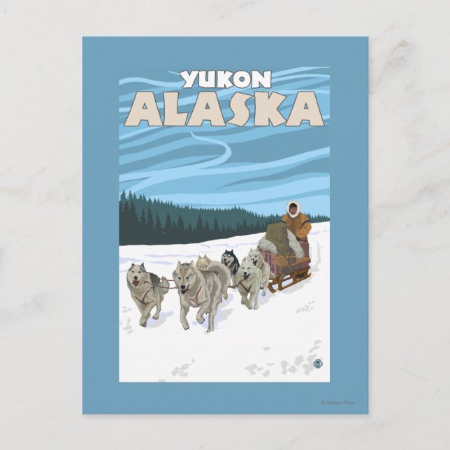 Dog Sledding Scene - Yukon, Alaska Postkarte (Vorderseite)