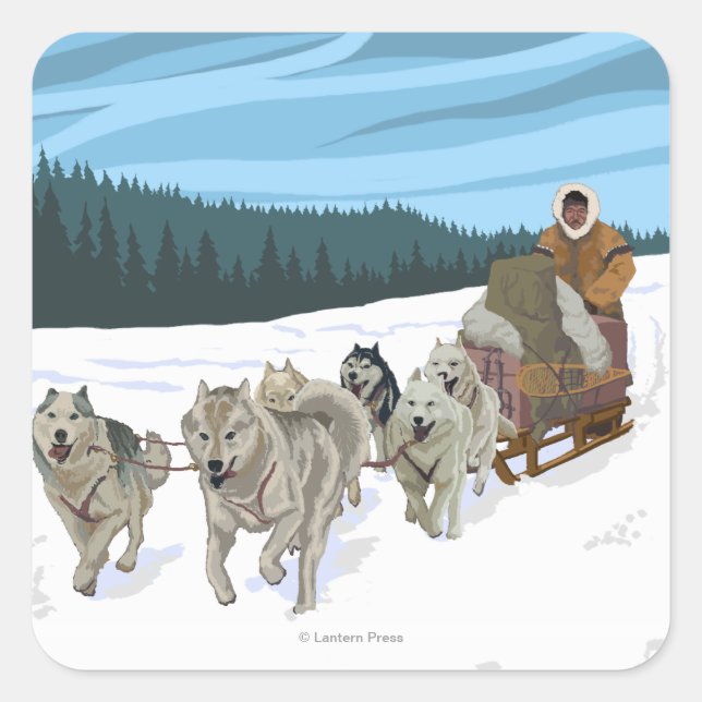Dog Sledding Scene - Yukon, Alaska Quadratischer Aufkleber (Vorderseite)