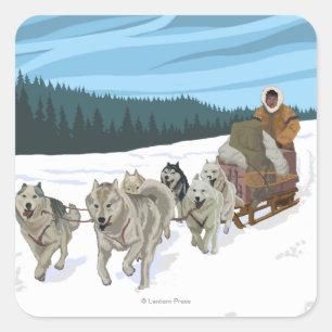 Dog Sledding Scene - Yukon, Alaska Quadratischer Aufkleber