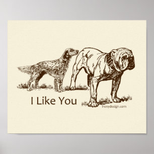 Dog Sniffs Hintern Poster