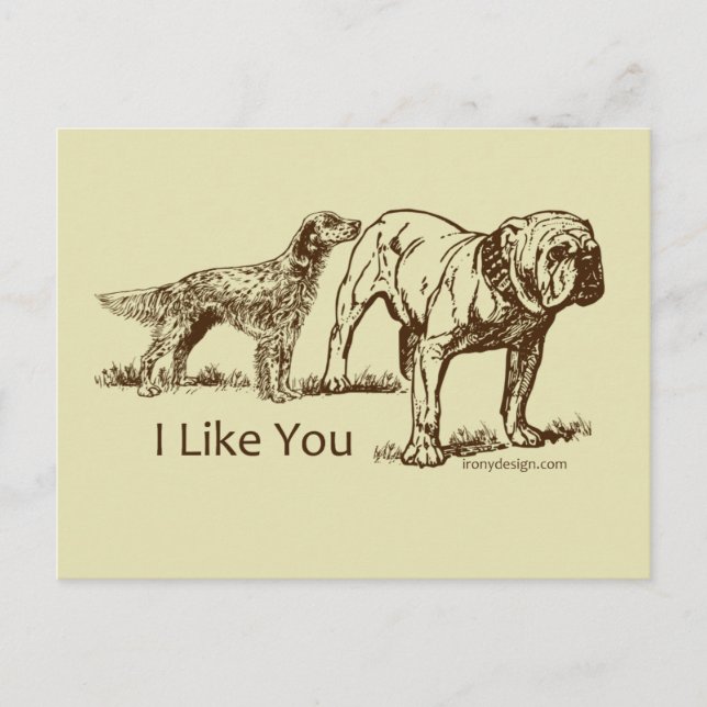 Dog Sniffs Hintern Postkarte (Vorderseite)