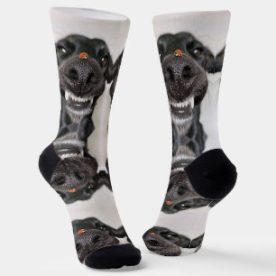 Dog Socks Socken