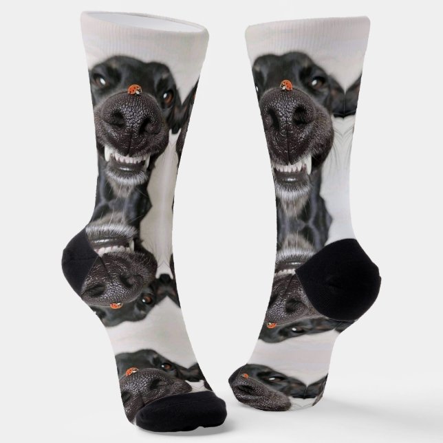 Dog Socks Socken (Gewinkelt)