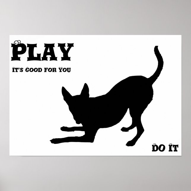 Dog spielen poster (Vorne)