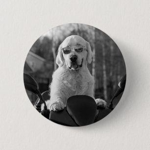 DOG STYLE BUTTON