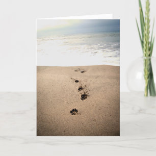 Dog Sympathy Card Karte