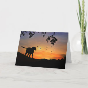 Dog Sympathy Card Karte