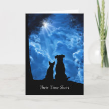 Dog Sympathy Loss of Dog General