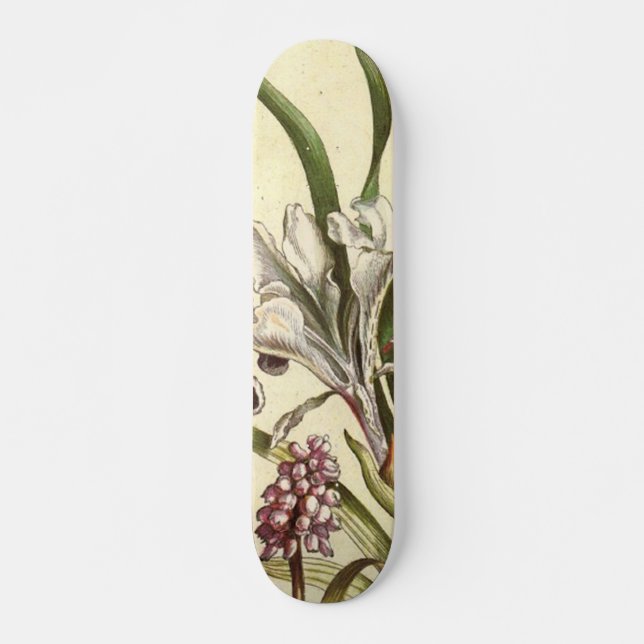 Dog Tooth Violet Skateboard (Vorne)