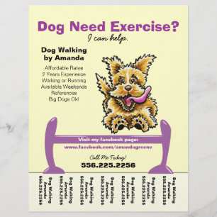 Dog Trainer Training Active Terrier Teer Sheet Flyer