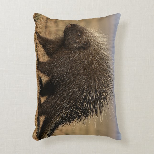 Dog vs. Porcupine Accent Pillow Dekokissen (Vorderseite(Vertikal))