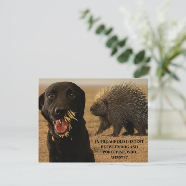 Dog vs. Porcupine Card Mitteilungskarte (Stehend Vorderseite)