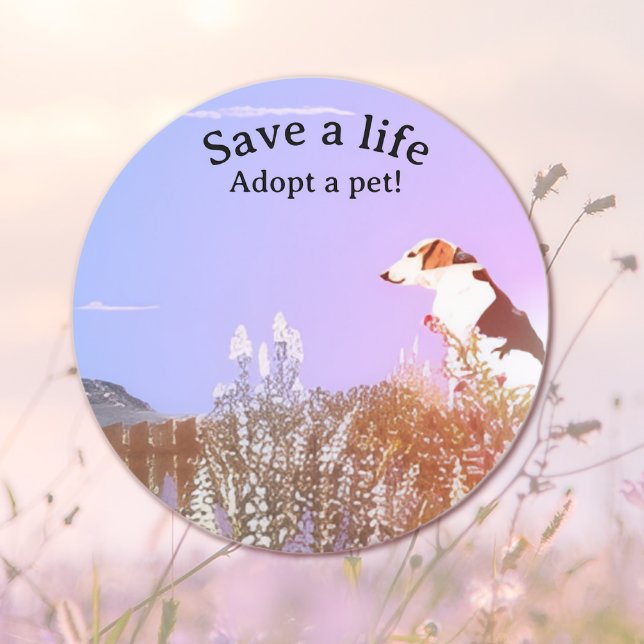 Dog Waiting for his Family Runder Aufkleber (Von Creator hochgeladen)