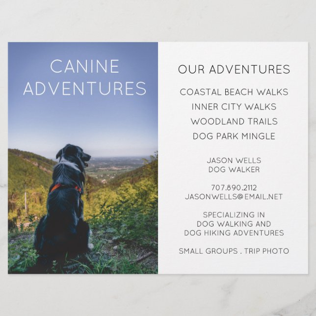 Dog Walker Adventure Walks Wanderungen Flyer (Vorne)