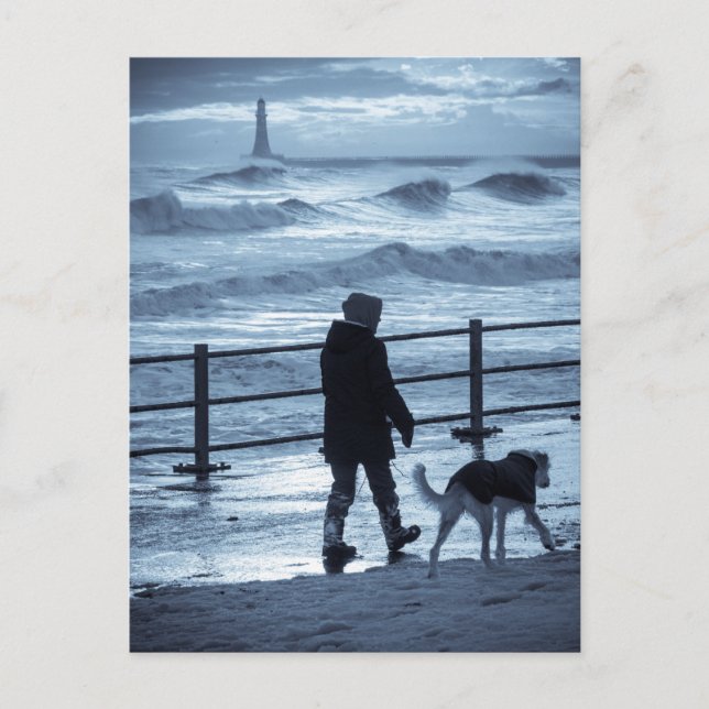 Dog Walker bei Roker Postkarte (Vorderseite)