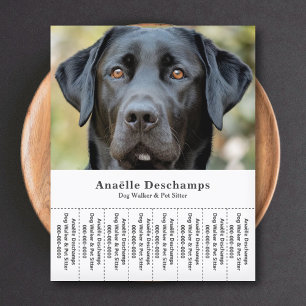Dog Walker Pet Sitter Foto Abreißen Strips Flyer