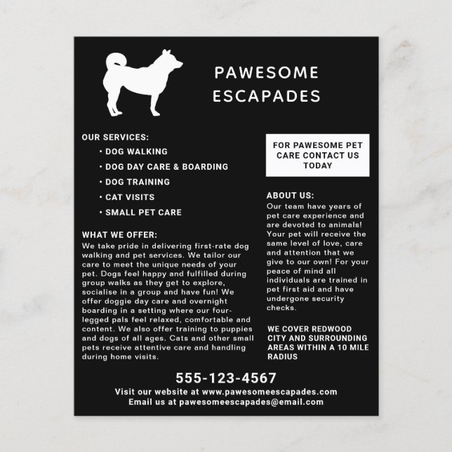 Dog Walker & Pet Sitter Schwarz Flyer (Vorne)