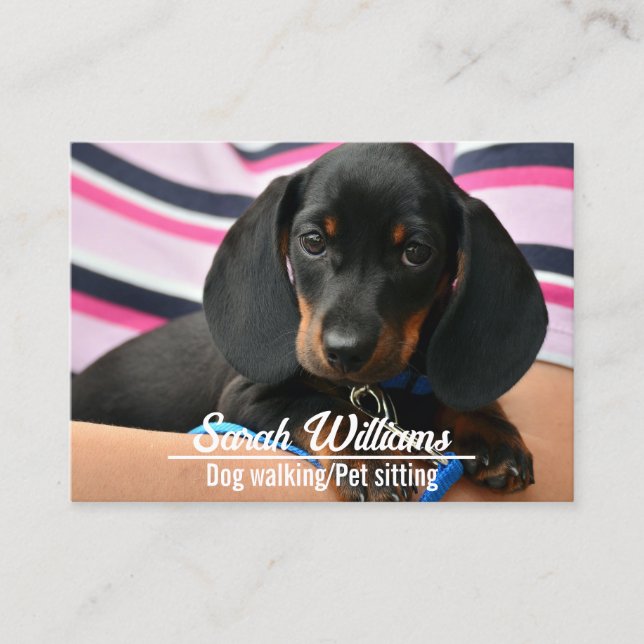 Dog Walker Pet Sitting Care Puppy Visitenkarte (Vorderseite)