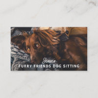 Dog Walker Sitzender Tagesbetreuungsdienst