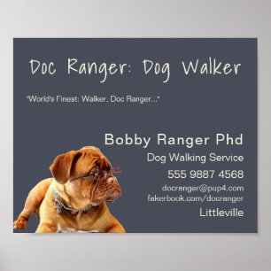 Dog Walker Trainer Foto Werbung Großartige Geschäf Poster