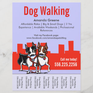 Dog Walking Walker Boston Terriers Reißblech Flyer