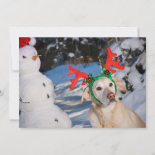 Dog Wearing Reindeer Antlers Feiertagskarte