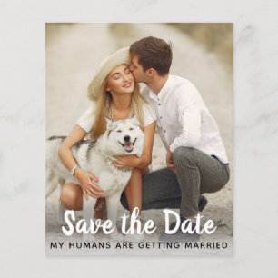 Dog Wedding Save the Date Budget QR Code Postcard