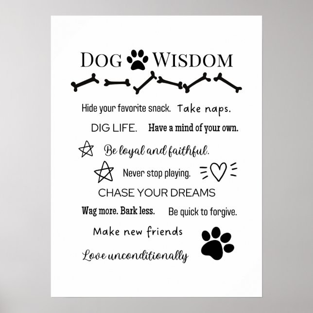Dog Wisdom Poster (Vorne)