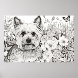 Dog Yorkshire Terrier Friedlich Nature Pet Poster