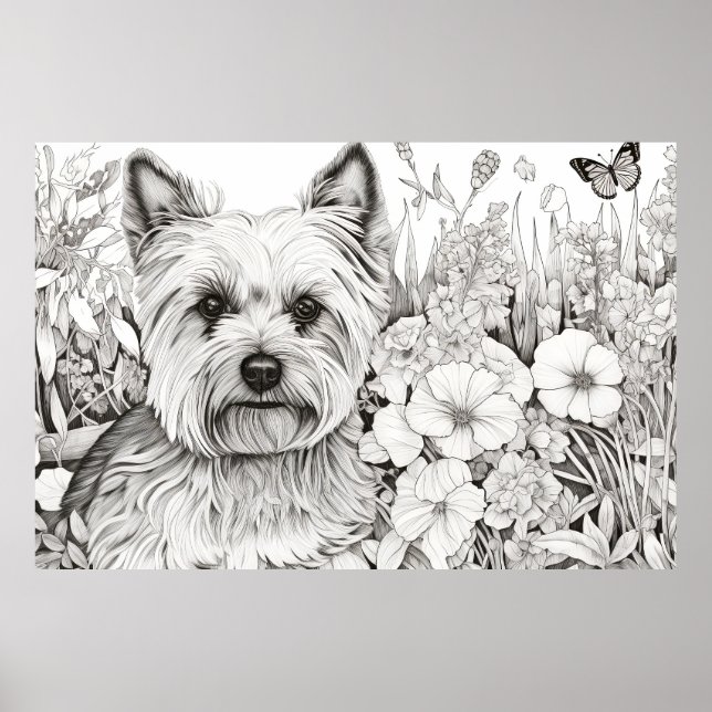 Dog Yorkshire Terrier Friedlich Nature Pet Poster (Vorne)