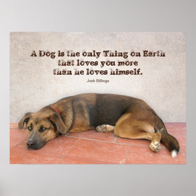 Dog Zitat Poster (Vorne)
