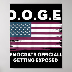 Doge-Demokraten werden offiziell verfügbar _3 Poster