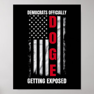 Doge-Demokraten werden offiziell verfügbar _5 Poster