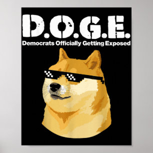 Doge Meme-Demokraten werden offiziell freigesetzt  Poster