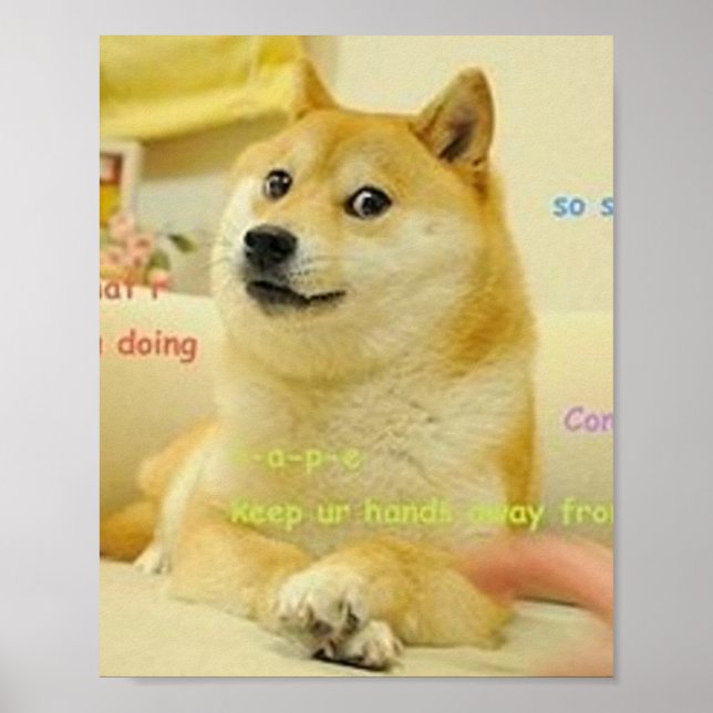 Doge Meme Poster (Vorne)