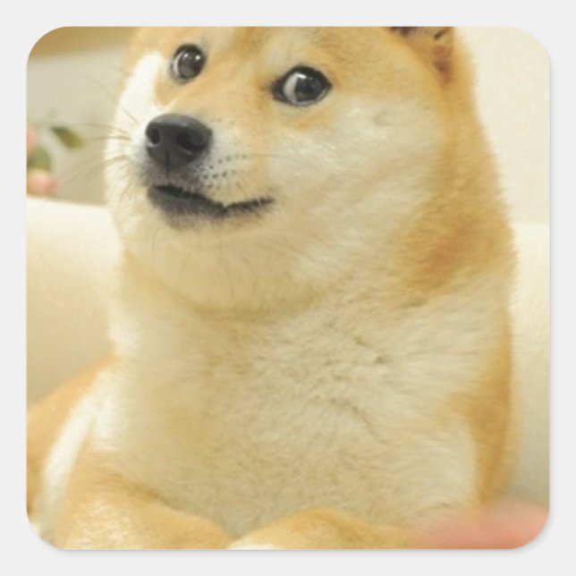 Doge Quadratischer Aufkleber (Vorderseite)