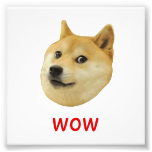 Doge sehr Wow viel Hund wie Shiba Shibe in u Fotodruck