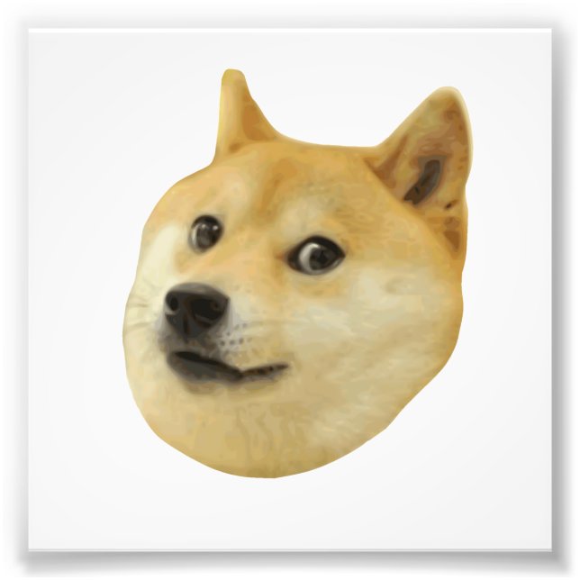 Doge sehr Wow viel Hund wie Shiba Shibe in u Fotodruck (Vorne)
